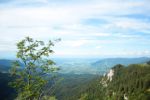 2014-07-05_Laengental-N-Hochweg (764). JPG